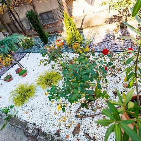 Devin Coworking & Coliving Apartment Exterior foto